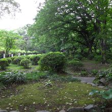 日比谷公園の木々