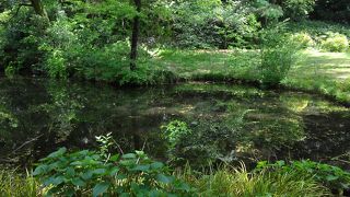 5月4日は入園無料