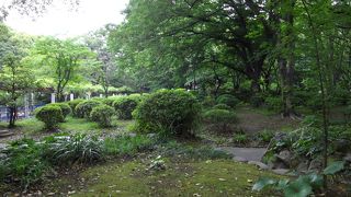 樹木も、文化施設も