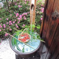 ウェルカム野菜です　地下水で冷やしてあります