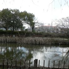 大きな灌がい池だった阪今池