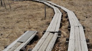 春は殺風景です