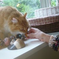 クリちゃんといっしょに朝食