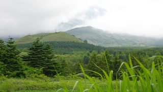 静かに散策できる