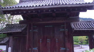 県庁前にひっそりとかつ堂々と