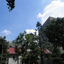 木がモコモコ時計台