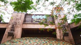 ウォーターパークで楽しむ