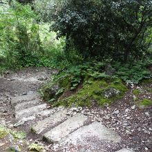 かなりキツイ下り道