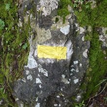 この黄色の線を頼りに