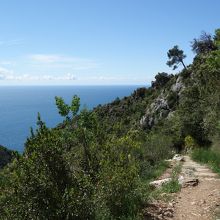 地中海とニーチェの道