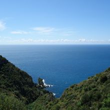 視界が広がるとこの景色