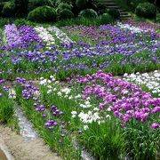 升潟（ますがた）のほとりにあり、６月はあやめ園が有名な公園