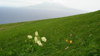 比較的手ごろなトレッキングコース