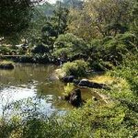 庭は良く手入れされている