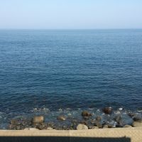 客室からの眺望