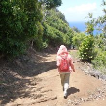 こんな道を歩いていきます