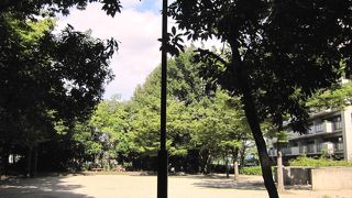 国松公園