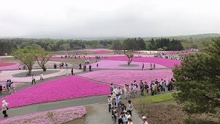 富士山とのショットが撮れず・・・