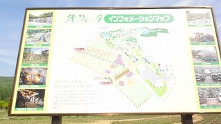 はいらなかったけど・・・