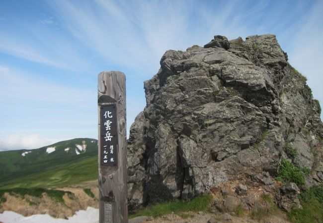 ７月は登山道途中のお花畑がきれい