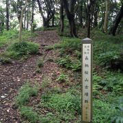 神奈川県最大級の古墳群