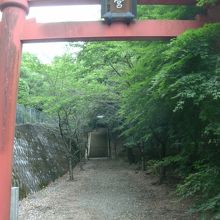 落ち葉が続く参道