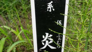 炎とかいてふぉむら