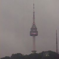 部屋の窓から。