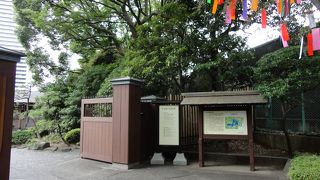 七夕の笹が園内に飾られていました。