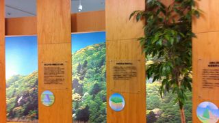 無料で楽しめる木の博物館です!!