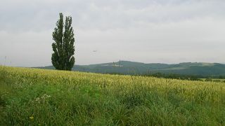 “樹”は風雪に耐えて、変わらずに残っている