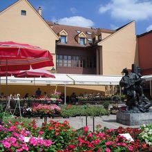 花の苗や鉢植えが並ぶコーナー