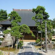 新発田にあるお寺の中で、唯一、徳川の葵の御門を使うことが許された寺