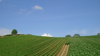 なだらかな丘陵が連なる