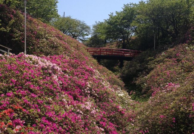 あたご山 クチコミ アクセス 営業時間 阪南 岬 フォートラベル あたご山 クチコミ アクセス 営業時間 阪南 岬 フォートラベル