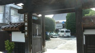 市の保存樹木を見学にと・・