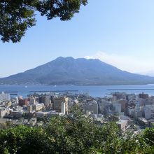 桜島と鹿児島市内を一望