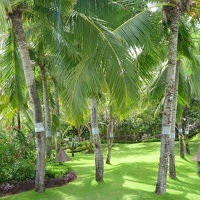 きれいに手入れされた敷地内