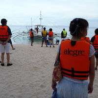 無料イルカクルーズ