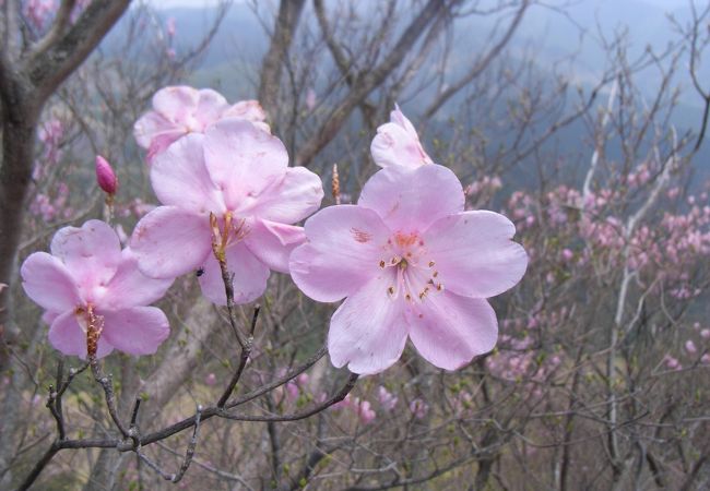 鳴神山