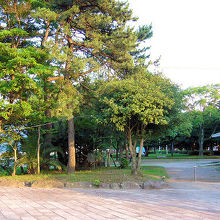 的ケ浜公園の中