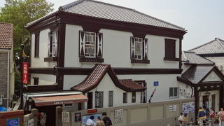 多数の剥製を展示