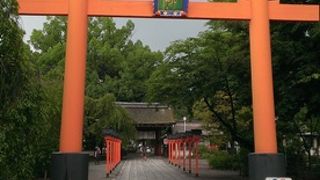 大きな大きなご神木