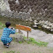 日本一短い河川があります