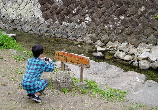 日本一短い河川があります