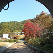 スカイブリッジを渡りこのトンネルをくぐると到着