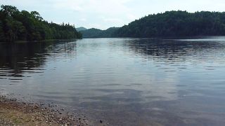 原生林の中の湖