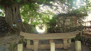 中学校隣の埋没した鳥居