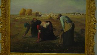 朝から晩まで過ごしたいと思いました