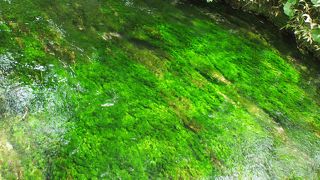 上高地でリフレッシュ